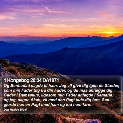 1 Kongebog 20:34 DA1871 Bible Verse Image