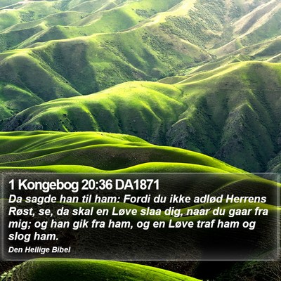 1 Kongebog 20:36 DA1871 Bible Verse Image