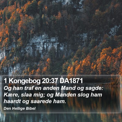 1 Kongebog 20:37 DA1871 Bible Verse Image