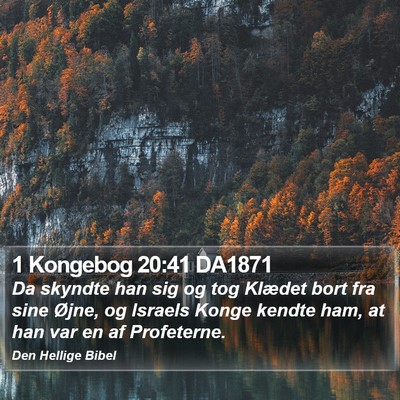 1 Kongebog 20:41 DA1871 Bible Verse Image