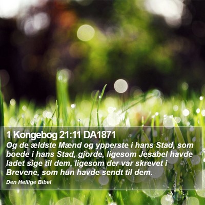 1 Kongebog 21:11 DA1871 Bible Verse Image