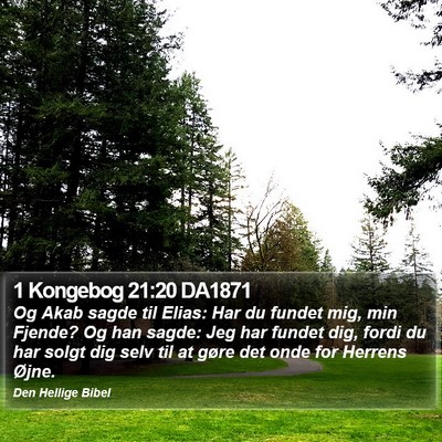 1 Kongebog 21:20 DA1871 Bible Verse Image