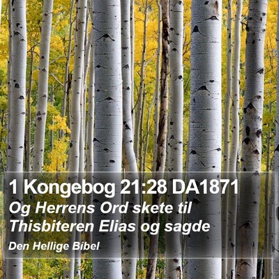 1 Kongebog 21:28 DA1871 Bible Verse Image