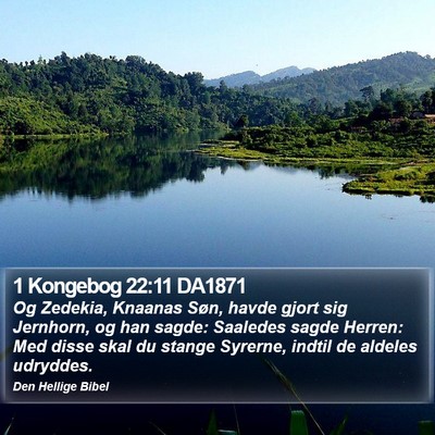 1 Kongebog 22:11 DA1871 Bible Verse Image