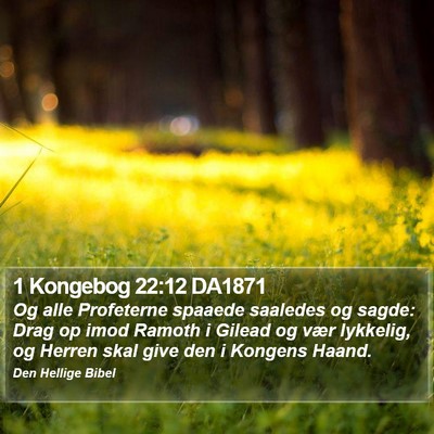 1 Kongebog 22:12 DA1871 Bible Verse Image