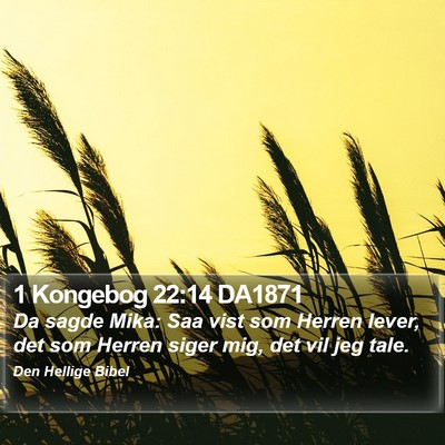 1 Kongebog 22:14 DA1871 Bible Verse Image