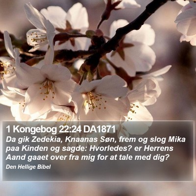 1 Kongebog 22:24 DA1871 Bible Verse Image