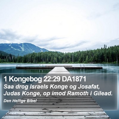 1 Kongebog 22:29 DA1871 Bible Verse Image