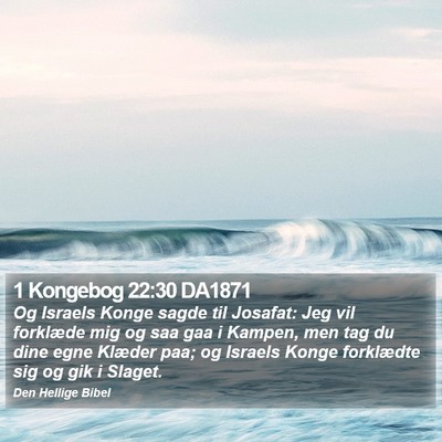 1 Kongebog 22:30 DA1871 Bible Verse Image