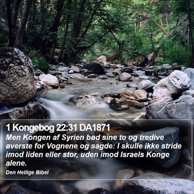 1 Kongebog 22:31 DA1871 Bible Verse Image