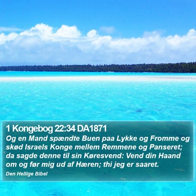 1 Kongebog 22:34 DA1871 Bible Verse Image