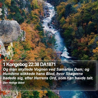 1 Kongebog 22:38 DA1871 Bible Verse Image