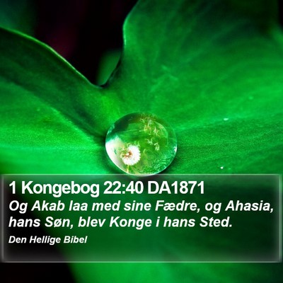 1 Kongebog 22:40 DA1871 Bible Verse Image