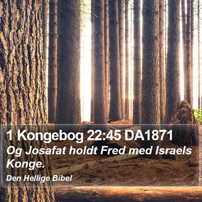1 Kongebog 22:45 DA1871 Bible Verse Image