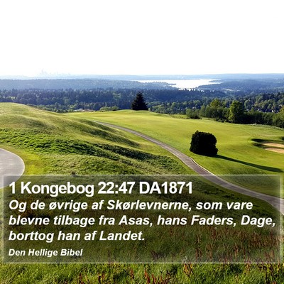 1 Kongebog 22:47 DA1871 Bible Verse Image