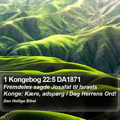 1 Kongebog 22:5 DA1871 Bible Verse Image