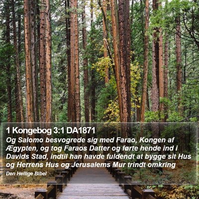 1 Kongebog 3:1 DA1871 Bible Verse Image