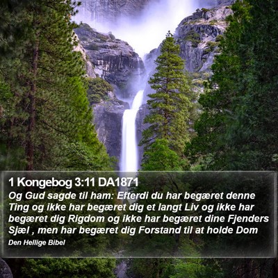 1 Kongebog 3:11 DA1871 Bible Verse Image