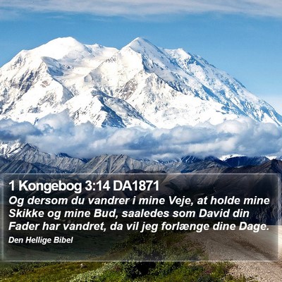 1 Kongebog 3:14 DA1871 Bible Verse Image