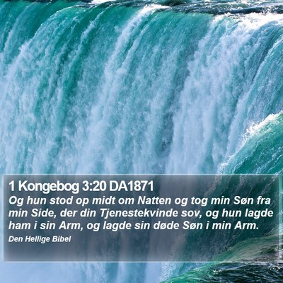 1 Kongebog 3:20 DA1871 Bible Verse Image