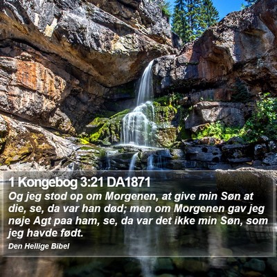 1 Kongebog 3:21 DA1871 Bible Verse Image