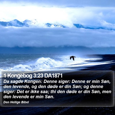 1 Kongebog 3:23 DA1871 Bible Verse Image