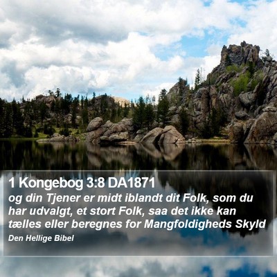 1 Kongebog 3:8 DA1871 Bible Verse Image