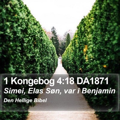 1 Kongebog 4:18 DA1871 Bible Verse Image