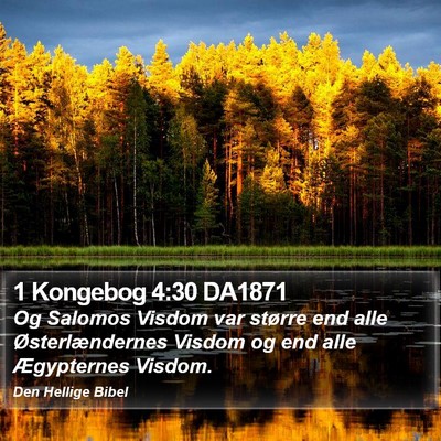 1 Kongebog 4:30 DA1871 Bible Verse Image