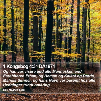 1 Kongebog 4:31 DA1871 Bible Verse Image