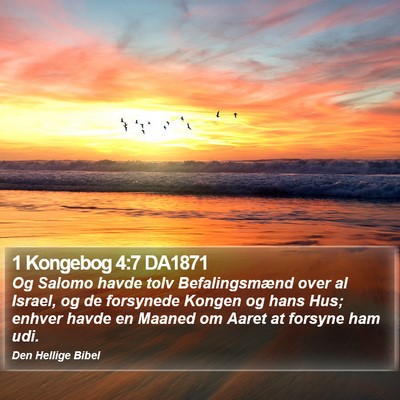1 Kongebog 4:7 DA1871 Bible Verse Image