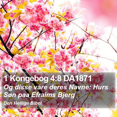 1 Kongebog 4:8 DA1871 Bible Verse Image