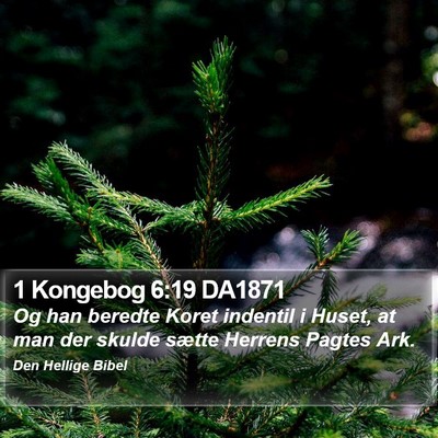1 Kongebog 6:19 DA1871 Bible Verse Image