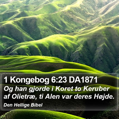 1 Kongebog 6:23 DA1871 Bible Verse Image
