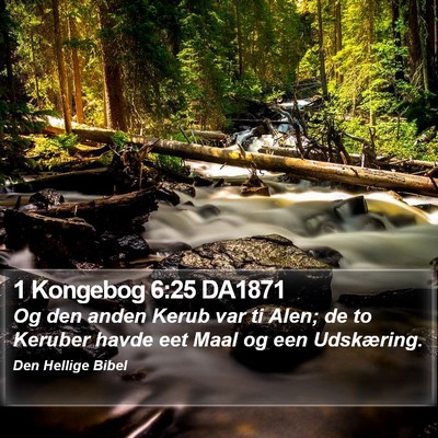 1 Kongebog 6:25 DA1871 Bible Verse Image