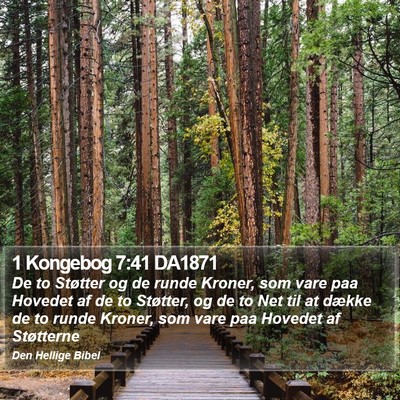 1 Kongebog 7:41 DA1871 Bible Verse Image