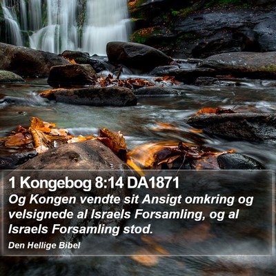 1 Kongebog 8:14 DA1871 Bible Verse Image