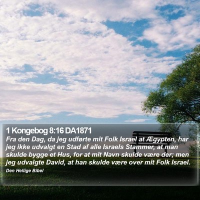 1 Kongebog 8:16 DA1871 Bible Verse Image
