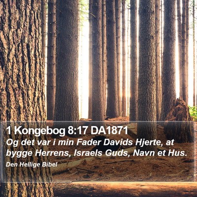 1 Kongebog 8:17 DA1871 Bible Verse Image