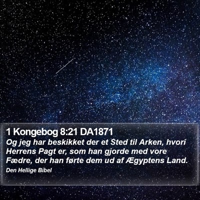 1 Kongebog 8:21 DA1871 Bible Verse Image