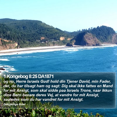 1 Kongebog 8:25 DA1871 Bible Verse Image
