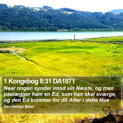 1 Kongebog 8:31 DA1871 Bible Verse Image