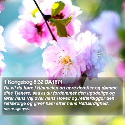 1 Kongebog 8:32 DA1871 Bible Verse Image