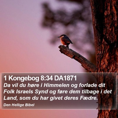 1 Kongebog 8:34 DA1871 Bible Verse Image