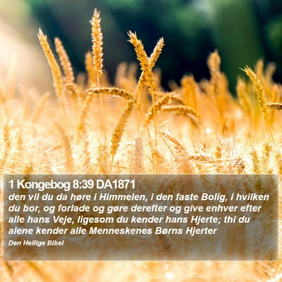 1 Kongebog 8:39 DA1871 Bible Verse Image