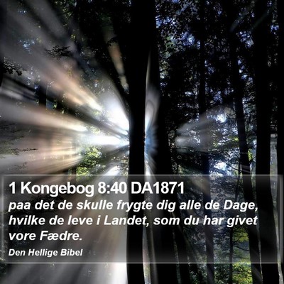 1 Kongebog 8:40 DA1871 Bible Verse Image