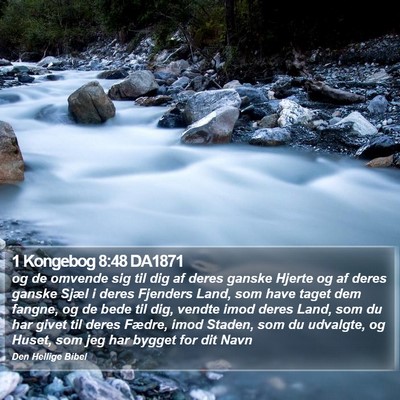 1 Kongebog 8:48 DA1871 Bible Verse Image