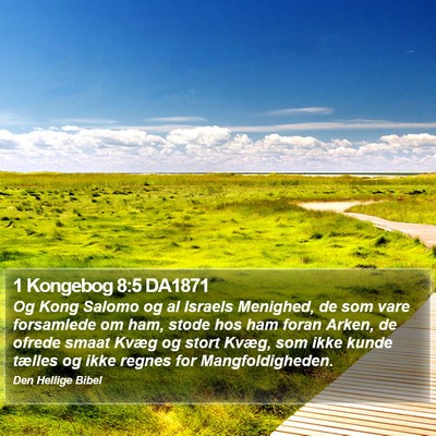 1 Kongebog 8:5 DA1871 Bible Verse Image