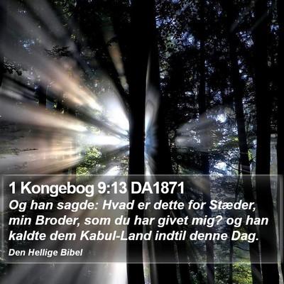 1 Kongebog 9:13 DA1871 Bible Verse Image