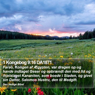 1 Kongebog 9:16 DA1871 Bible Verse Image